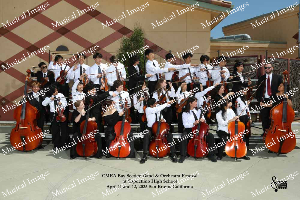 Musical Images